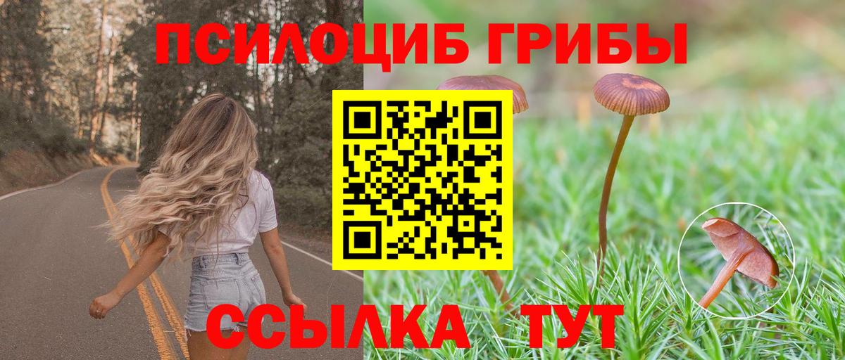 Пыть-Ях  Псилоцибиновые грибы мухоморы  Вход с VPN  Псилоцибиновые грибы Psilocybine cubensis 