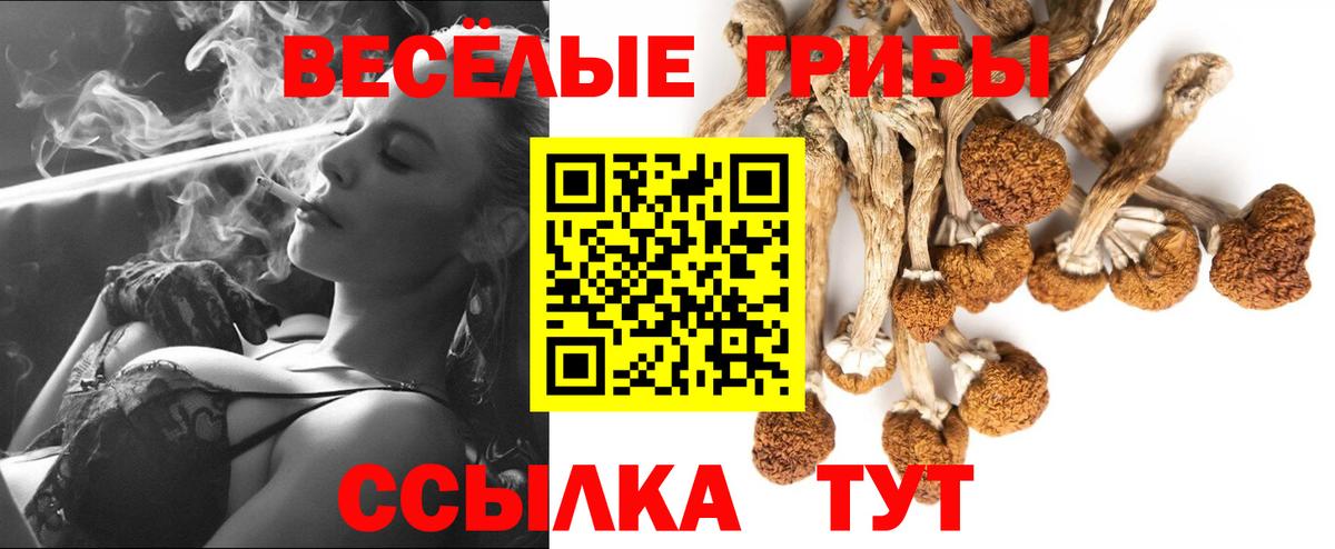 Псилоцибиновые грибы мицелий Пыть-Ях